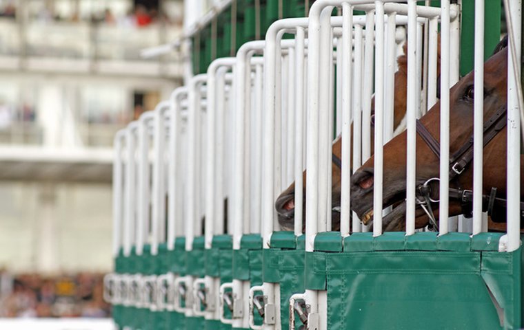 Problem' horses at the starting gate: How rules vary around the